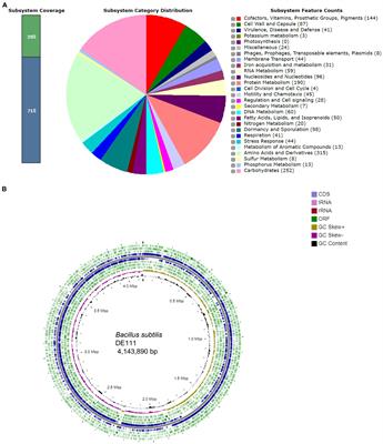 In vitro and in silico assessment of probiotic and functional properties of Bacillus subtilis DE111®